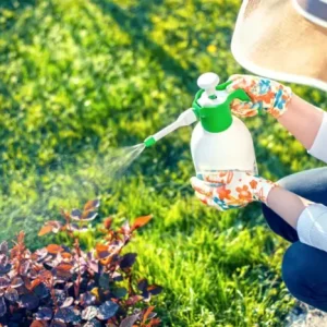 Top 5 Lawn Care Tips for Homeowners in Whittier CA