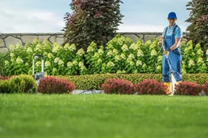 How Much Does Lawn Care Cost?