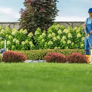Professional gardener performing lawn maintenance with a pressure washer in a well-kept garden, representing professional lawn care cost and quality landscaping services.