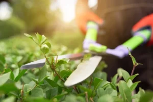 How Much Landscape Maintenance Cost