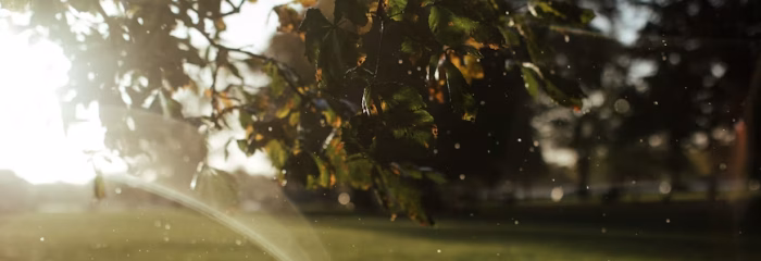 photo-1635857777682-d13669a37760