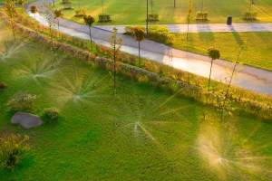 An overview of the five main irrigation systems — sprinkler, drip, surface, subsurface, and manual — designed to keep your lawn and landscape healthy all year.