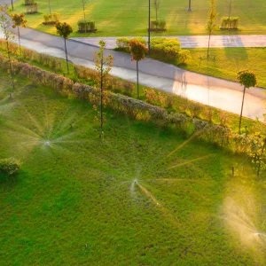 Different types of irrigation systems including sprinkler, drip, surface, subsurface, and manual methods used for efficient landscape watering.