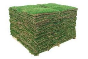How Much Turf on a Pallet