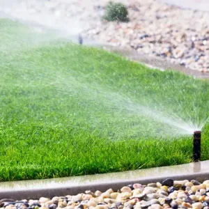 When Is the Best Time to Water Your Lawn? Expert Tips
